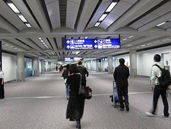 IMG_2480