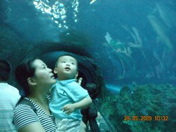 DSCN7327.JPG