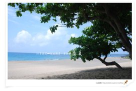 盛夏1.jpg