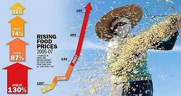 food-prices-rise.jpg