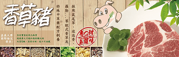 香草豬,豬肉料理,豬肉推薦,香草豬豬肉,生鮮豬肉,台灣豬肉品牌,台灣豬肉,宅配豬肉,端午節,粽子,粽子材料,端午節粽子,端午節2021,粽子推薦,香草豬粽子,粽子宅配,粽子作法,現成粽子