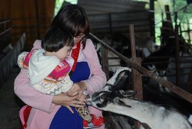 tn_DSC_2363.JPG