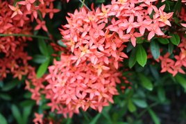 20100802 040.jpg