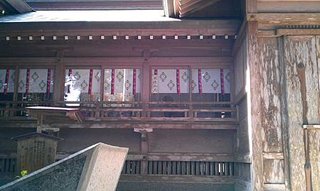IMAG0556