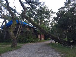 IMG_1899.JPG