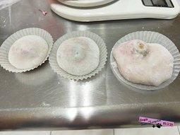 楊梅荔枝偽大福 熊足跡 (52)