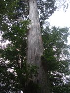 DSC03913.JPG