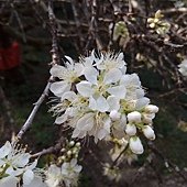 IMG_20170207_140937.jpg