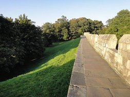 96.jpg