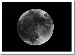 IMG_4536-2