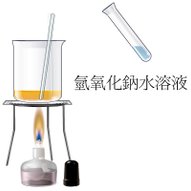 image1.jpeg