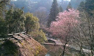 IMAG0569
