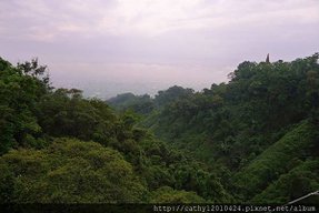 P1070447.JPG
