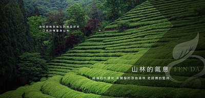 【沐正農場_阿里山高山茶】茶葉在不同季節、茶區、海拔高低的差