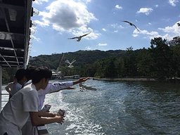 IMG_1366.JPG