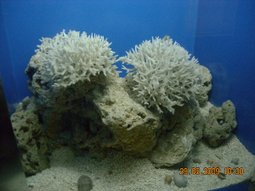 DSCN7315.JPG