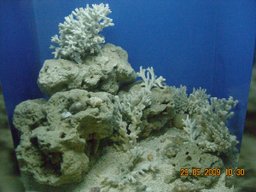 DSCN7316.JPG