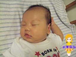 DSCF2819拷貝.jpg