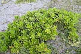 20100711 059.jpg