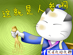 人参