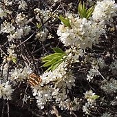 IMG_20170207_140757.jpg
