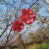 IMG_20170207_143624.jpg