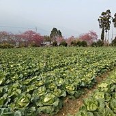 IMG_20170207_153334.jpg