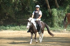 DSC_0318.JPG