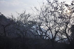 0207清境清靜191.JPG
