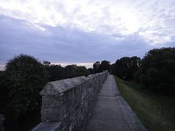 97.jpg