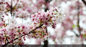 DSC_9676.jpg