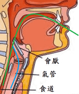 未命名.png