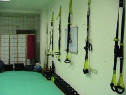 trx gym1.jpg