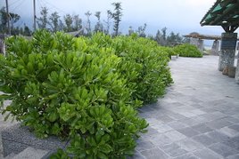 20100711 039.jpg