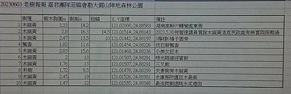 湖口大園山陣地，發現百年老樹群-木麻黃，拯救老樹-請縣政府固