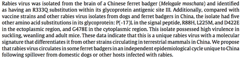 critical point mutation of rabies virusi in ferret badger