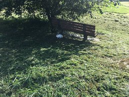 奧林匹克公園