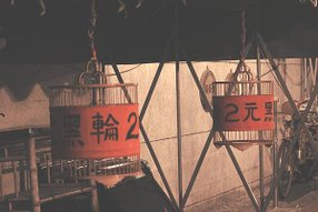 【台南】2024 最新！台南市區一日遊 經典行程&amp;必吃美食推