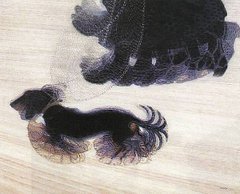 dynamism of a dog on a leash