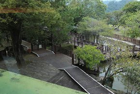 風景,巧克力雲莊,大湖景點推薦