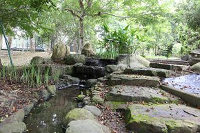 小橋流水,巧克力雲莊植物園,大湖景點推薦