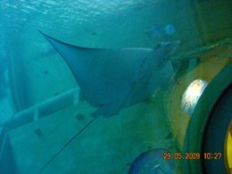 DSCN7309.JPG