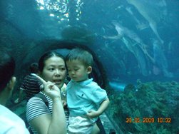 DSCN7329.JPG