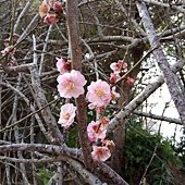 IMG_20170207_141512.jpg