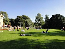 74.jpg