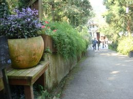 DSC00966.JPG