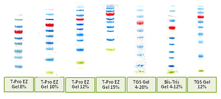 T-Pro%20EZ%20Gel(1).png