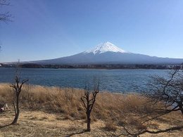 IMG_3179.JPG