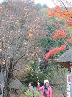 2014-11-09  西湖根場合掌村   041.JPG