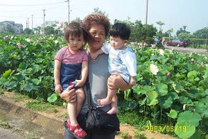 2003-06-19若淋廷宇新屋荷花 001